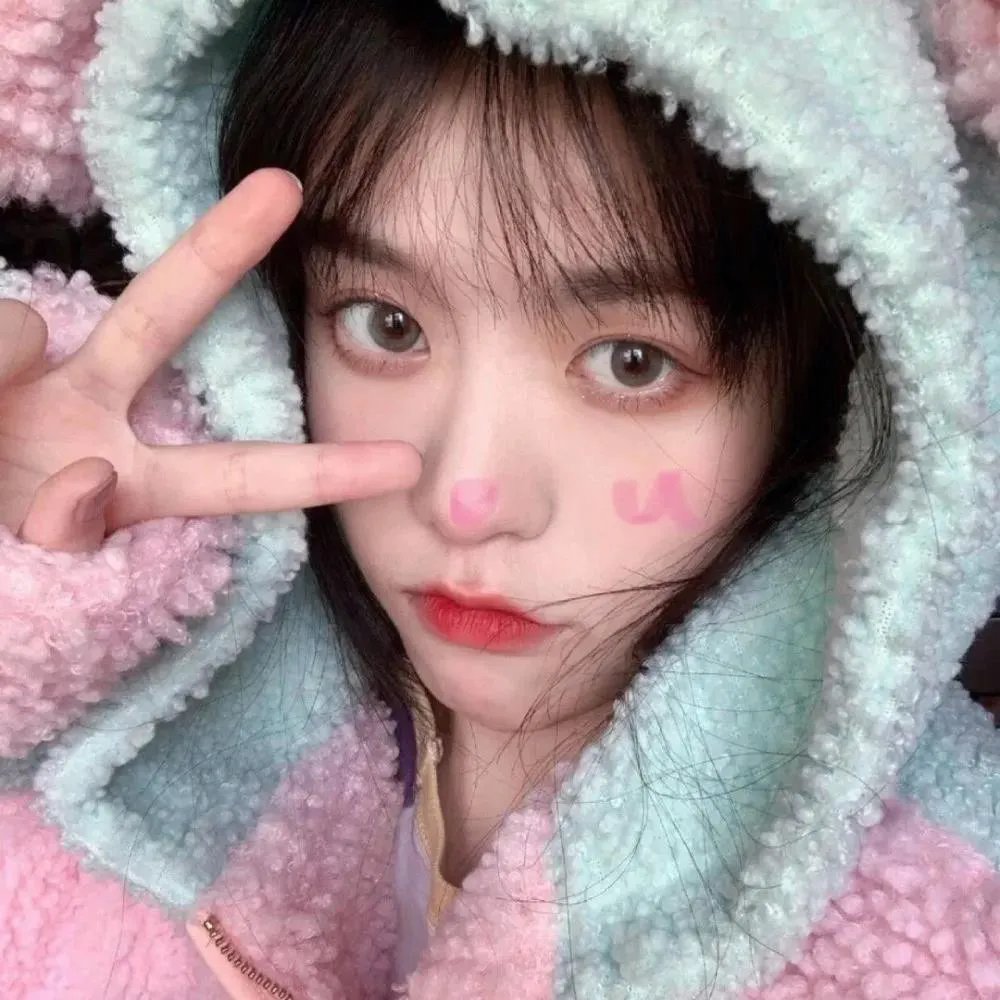 李米的猜想