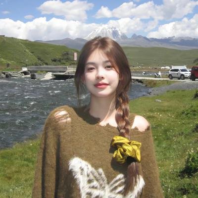 方案